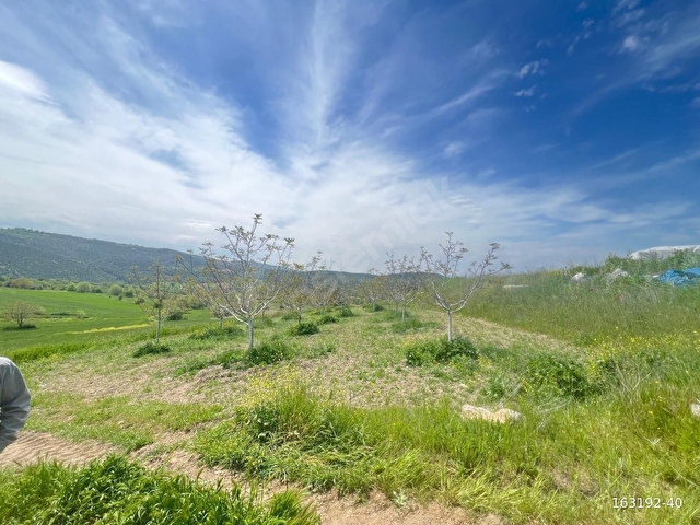 BURSA FİNANSTAN YENİŞEHİR İNCİRLİDE 1700 M2 SATLK TEK TAPU TARLA - Görsel 11