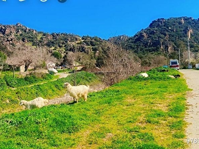 MASRAFLI KARGIR EV İSTEGİNİZE GÖRE YAPMA İMKANI - Görsel 26