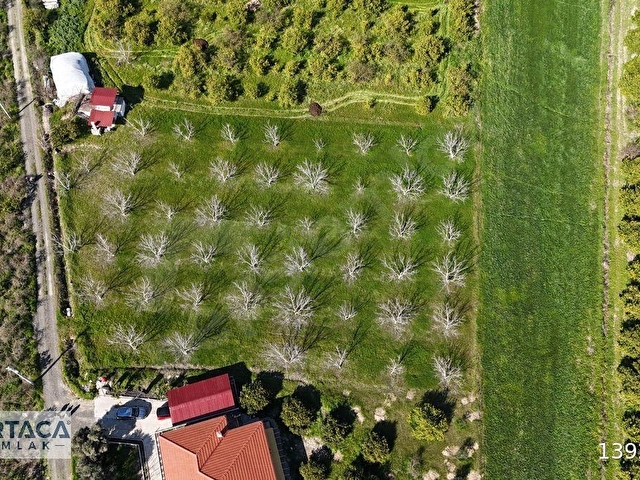 Dalaklıda Yerleşime Yakın 3460m² Tarla (Ceviz Ağaçlı, Depolu) - Görsel 3