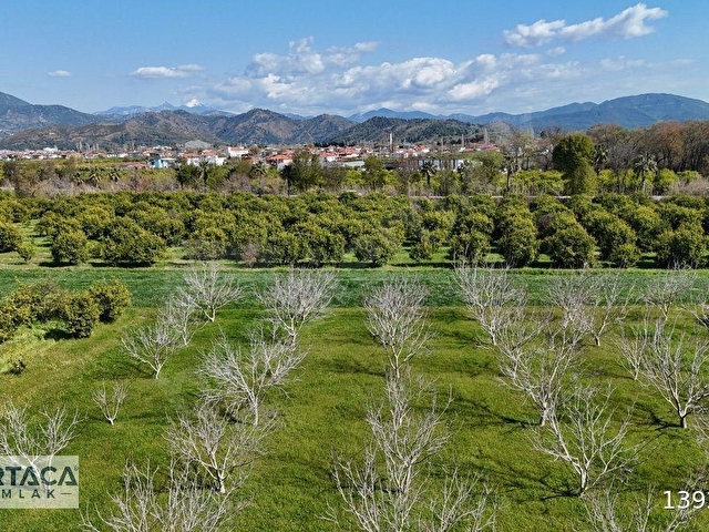 Dalaklıda Yerleşime Yakın 3460m² Tarla (Ceviz Ağaçlı, Depolu) - Görsel 6