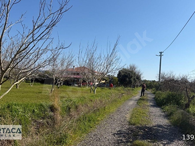 Dalaklıda Yerleşime Yakın 3460m² Tarla (Ceviz Ağaçlı, Depolu) - Görsel 22