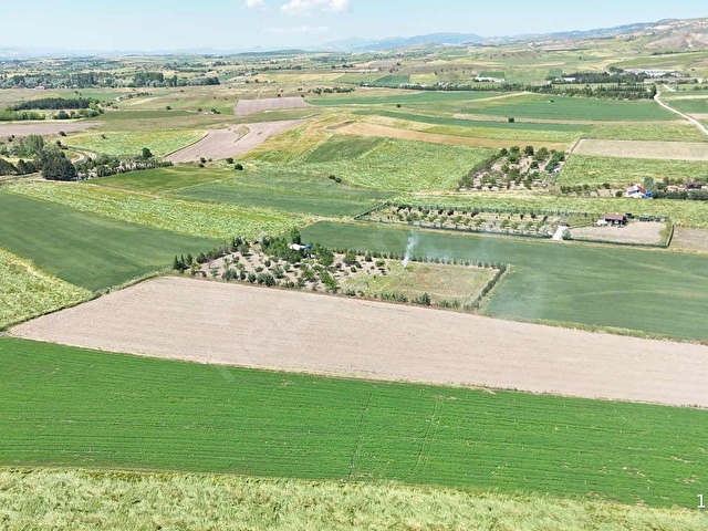 █TREND EMLAKTAN█SOĞULCAKTA 1.700 M² YATIRIMLIK ARAZİ - Görsel 3