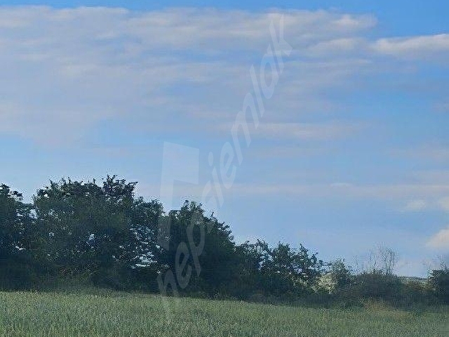 SÜLOĞLU TATARLAR 🚧 YOL + OSB + İL YOLU PROJESİNE YAKIN.    👉 ASFALT CEPHELİ 2.953 m² SÜPER KONUM - Görsel 13