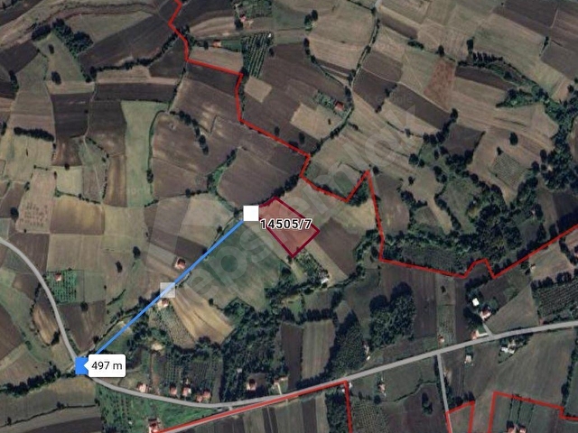SAMSUN MEYVALI DA 8730 M2 SATILIK TARLA. - Görsel 2
