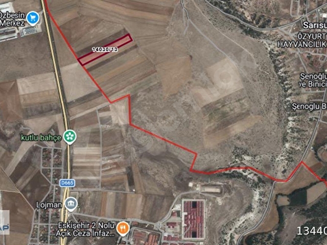 TURYAPTAN SARISUNGURDA ANA YOLA YAKIN 17.021 m² YATIRIML TARLA - Görsel 4