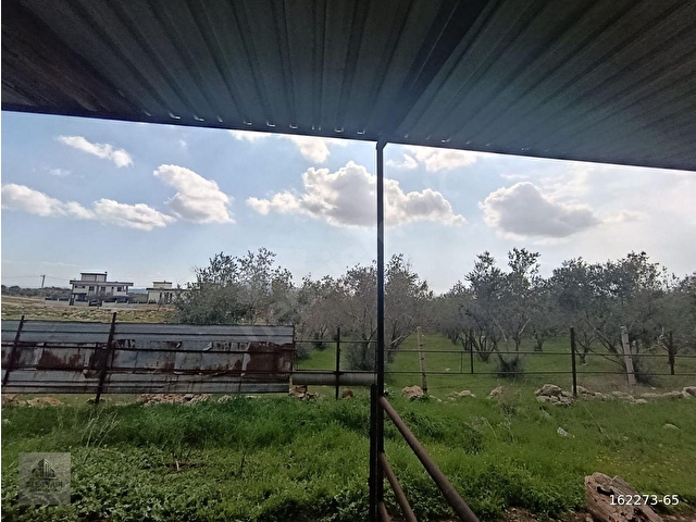 ALİM YAPI GAYRİMENKULDEN ULAŞ KÖYÜNDE SATILIK 1419 M2 TARLA - Görsel 11