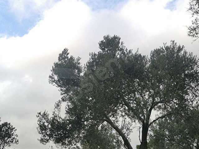 Edremit Güre Satılık