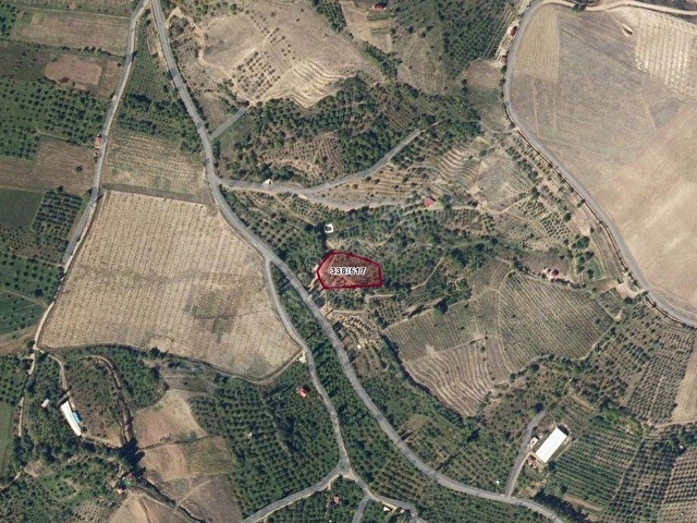 TOROS EMLAKTAN ÇAMARDI BADEMDERE SATILIK 2750 M2 BAHÇE - Görsel 27