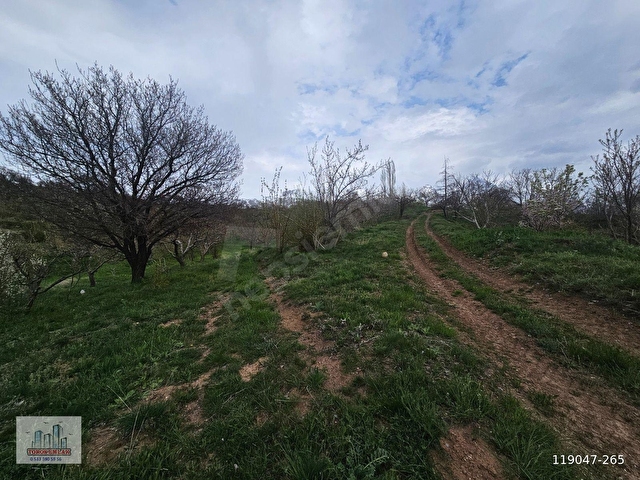 TOROS EMLAKTAN ÇAMARDI BADEMDERE SATILIK 2750 M2 BAHÇE - Görsel 17