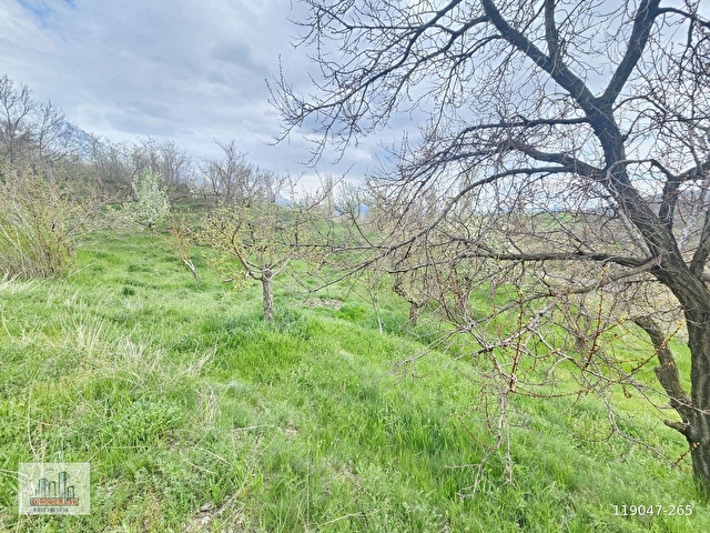 TOROS EMLAKTAN ÇAMARDI BADEMDERE SATILIK 2750 M2 BAHÇE - Görsel 24