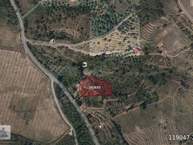 TOROS EMLAKTAN ÇAMARDI BADEMDERE SATILIK 2750 M2 BAHÇE - Görsel 25