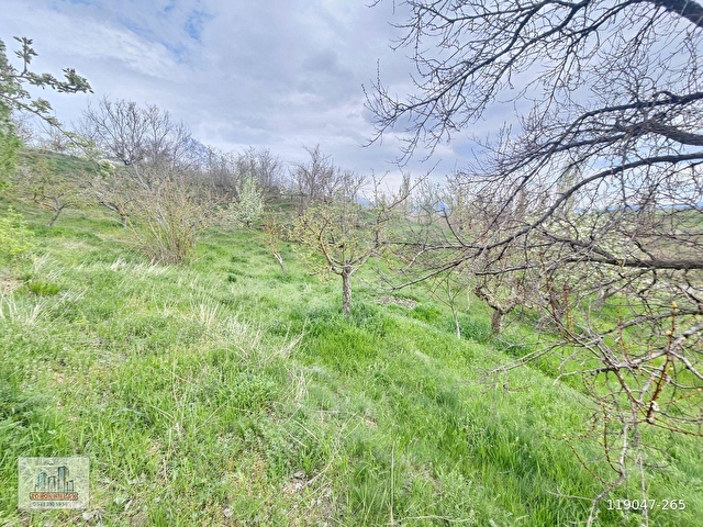 TOROS EMLAKTAN ÇAMARDI BADEMDERE SATILIK 2750 M2 BAHÇE - Görsel 23