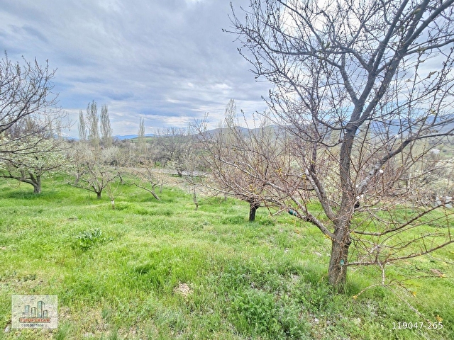 TOROS EMLAKTAN ÇAMARDI BADEMDERE SATILIK 2750 M2 BAHÇE - Görsel 15