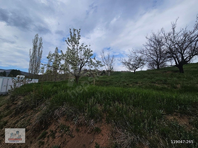 TOROS EMLAKTAN ÇAMARDI BADEMDERE SATILIK 2750 M2 BAHÇE - Görsel 6