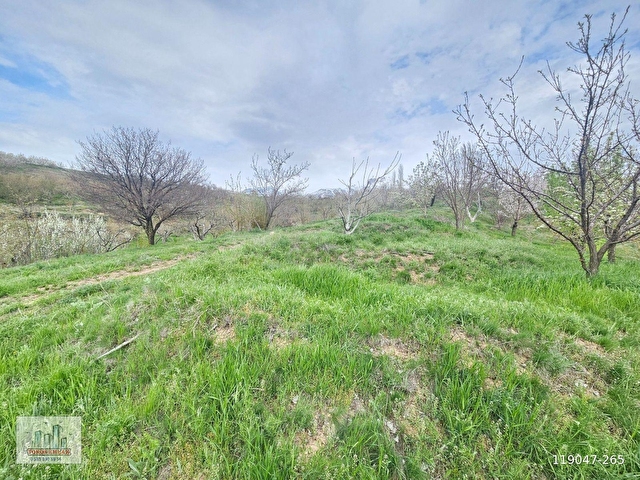 TOROS EMLAKTAN ÇAMARDI BADEMDERE SATILIK 2750 M2 BAHÇE - Görsel 8