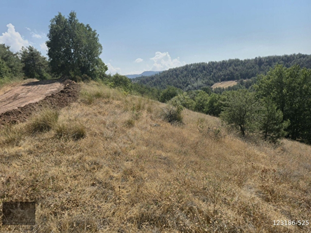Adaplatinden Taraklı Hacıalilerde 4424 m2 gölet yakını tarla - Görsel 8
