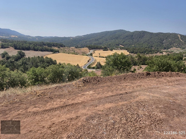 Adaplatinden Taraklı Hacıalilerde 4424 m2 gölet yakını tarla