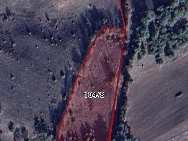 Adaplatinden Taraklı Hacıalilerde 4424 m2 gölet yakını tarla - Görsel 11