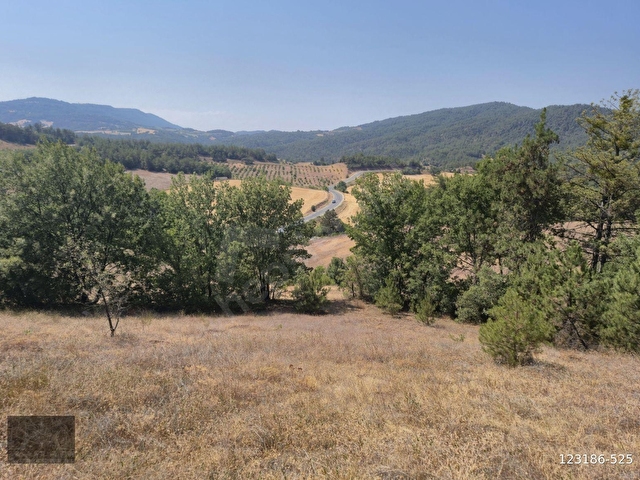 Adaplatinden Taraklı Hacıalilerde 4424 m2 gölet yakını tarla - Görsel 5