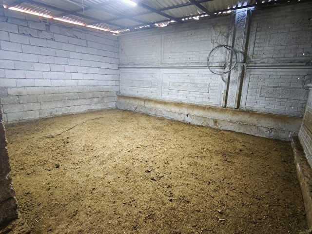 KOYUNBABADA DEVREN SATILIK 3600 METREKARE ÇİFTLİK - Görsel 9