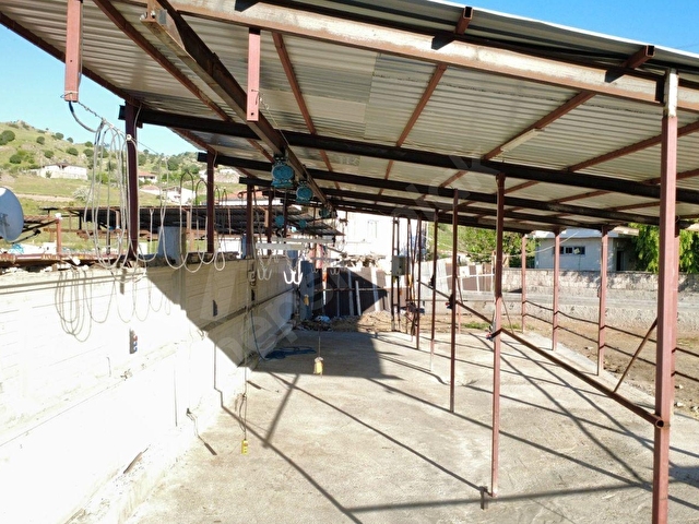 KOYUNBABADA DEVREN SATILIK 3600 METREKARE ÇİFTLİK