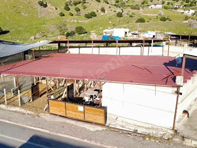 KOYUNBABADA DEVREN SATILIK 3600 METREKARE ÇİFTLİK - Görsel 3