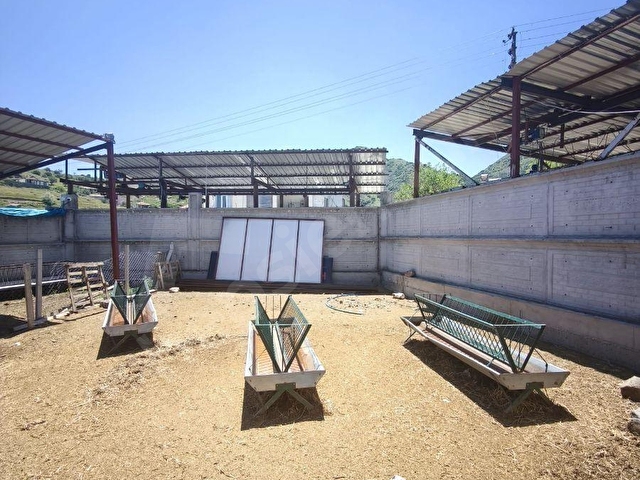 KOYUNBABADA DEVREN SATILIK 3600 METREKARE ÇİFTLİK - Görsel 12