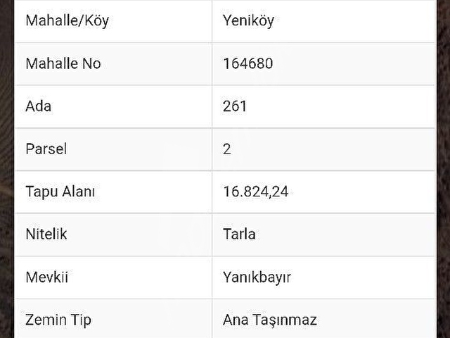 TEKİRDAĞ SÜLEYMANPAŞA YENİKÖY DE  ORMANA SINIR DENİZ MANZARALI 17 DÖNÜM SATILIK TARLA - Görsel 7