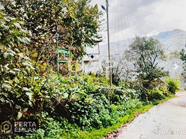 ORDU ULUBEY MÜSTAKİL EV TAPU SAHİBİ PERTA EMLAK ÜMİT TAHMAZ - Görsel 19