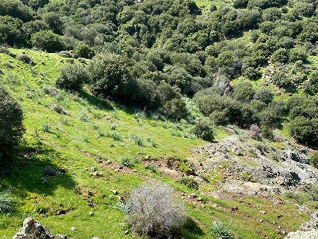 -VAV GAYRİMENKUL- MENEMEN YAYLA MAHALLESİNDE SATILIK PARSELLER - Görsel 6