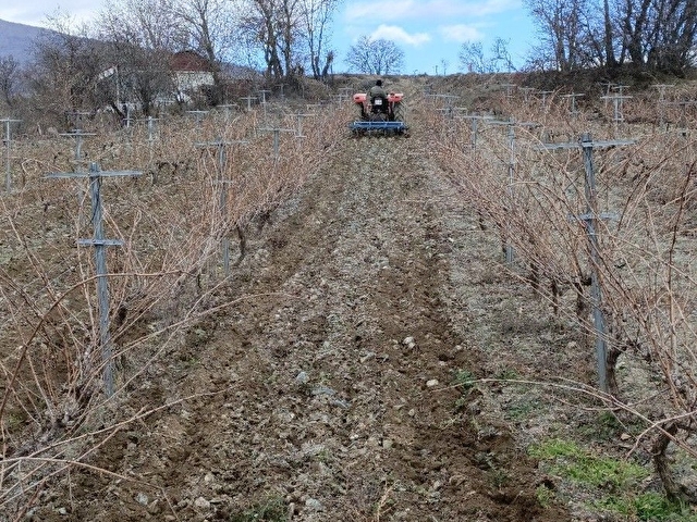 Tokat Kat Köyü Yolu Kenarında 2660m2 BAĞ/ARSA- Fiyat Düştü - Görsel 8