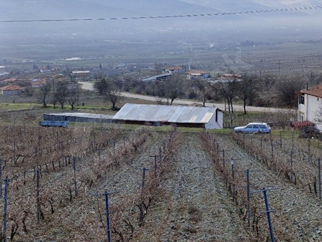 Tokat Kat Köyü Yolu Kenarında 2660m2 BAĞ/ARSA- Fiyat Düştü - Görsel 6