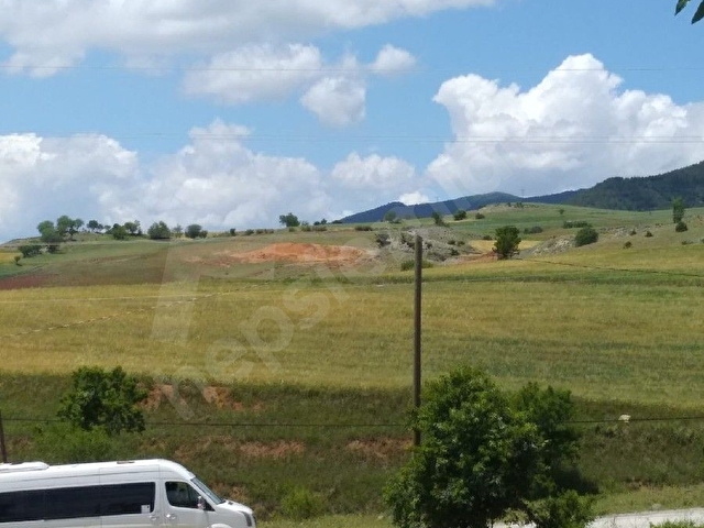 Tokat Kat Köyü Yolu Kenarında 2660m2 BAĞ/ARSA- Fiyat Düştü - Görsel 11