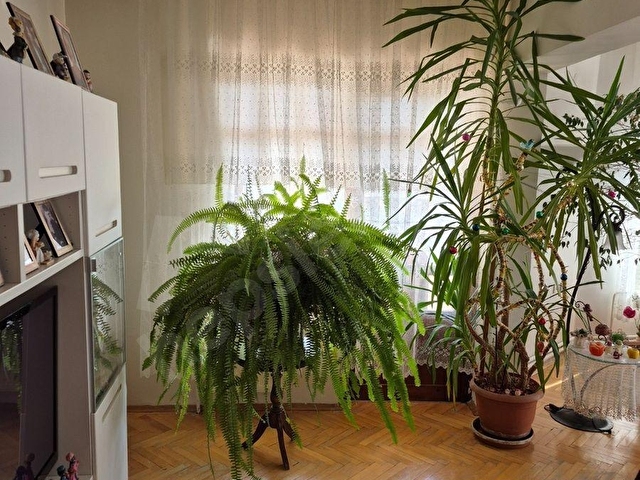 BAŞAK EMLAK 3+1  125M2 Manzaralı Ferah Daire - Görsel 8