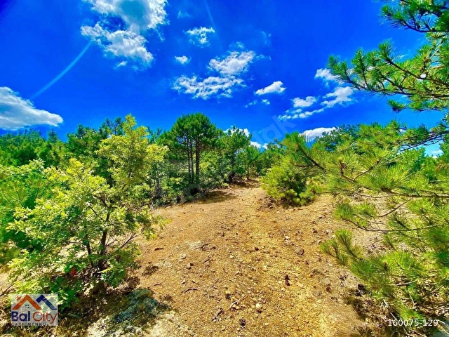 BALCİTY- BALIKESİR HAVRANDA 3.400 m2 FIRSAT ARAZİ! - Görsel 10