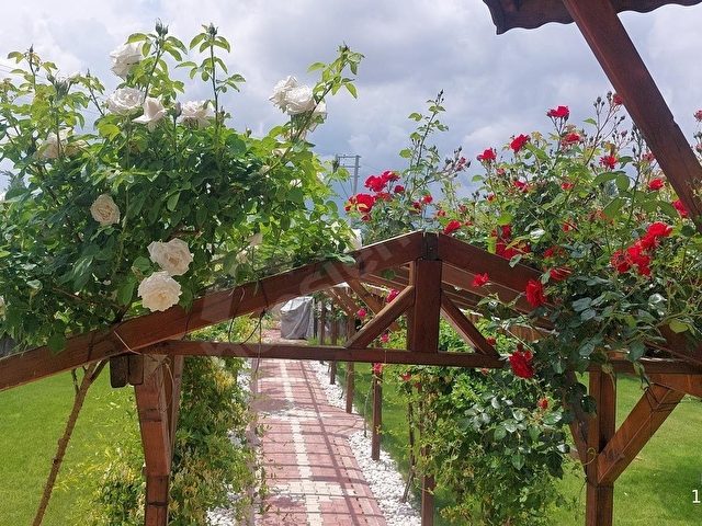 HATUNSARAY YOLUNA CEPHE SARIKIZI GECİNCE YAZLIK VİLLA - Görsel 8