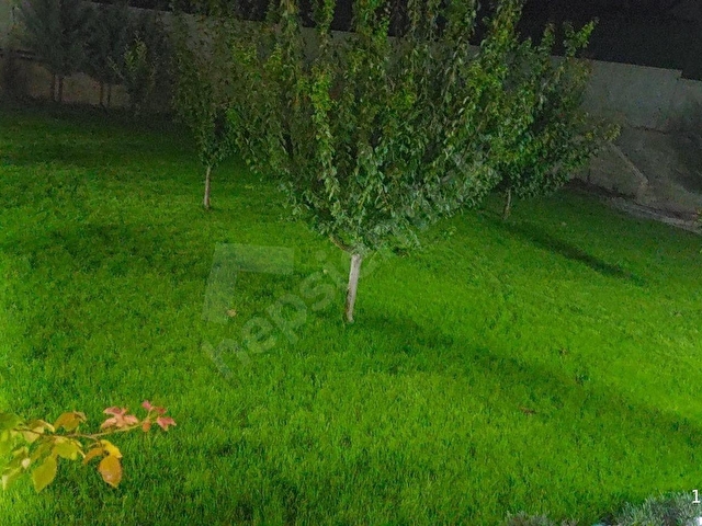 HATUNSARAY YOLUNA CEPHE SARIKIZI GECİNCE YAZLIK VİLLA - Görsel 15