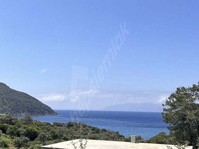 Datça Murdala Koyuna Yürüme Mesafesinde 2000M² Zeytinlik - Görsel 3