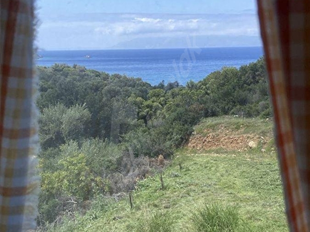Datça Murdala Koyuna Yürüme Mesafesinde 2000M² Zeytinlik - Görsel 4