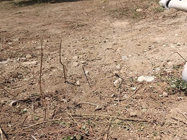 E&E GAYRİMENKULDEN VİLLA İMARLI KÖŞE BAŞI YATIRIMLIK ARSA - Görsel 8