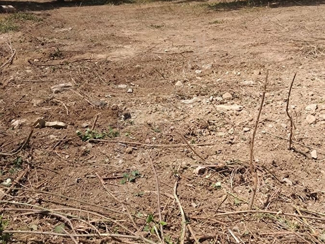 E&E GAYRİMENKULDEN VİLLA İMARLI KÖŞE BAŞI YATIRIMLIK ARSA - Görsel 7