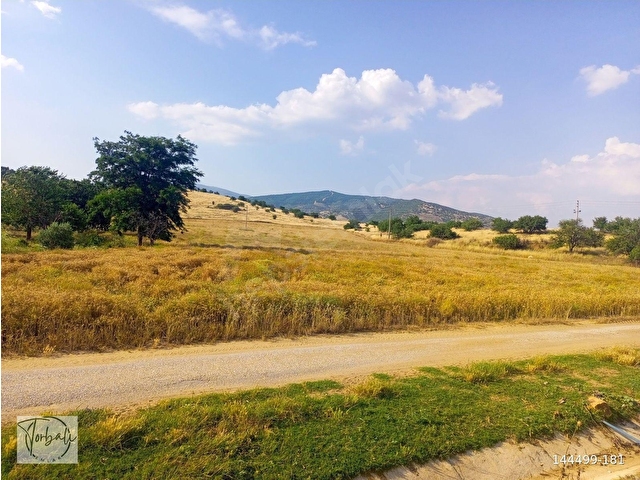 TİRE DEREBAŞI ASFALT YOL CEPHELİ KÖY MERKEZİNE YAKIN TEK TAPU 17.400m2 ARAZİMİZ SATILIKTIR - Görsel 9