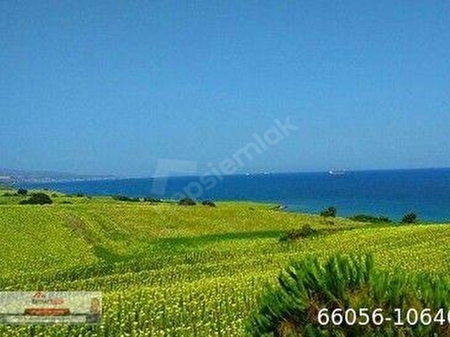Şarköy Kızılcaterzi Kontur Sit Deniz Manzaralı Satılık Arsa - Görsel 10