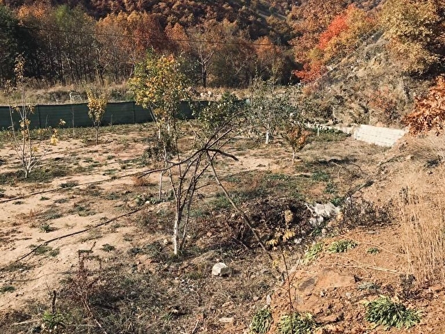 BURSA KELES YOLU ÜZERİNDE SEFERIŞIKLAR KÖYÜNDE SATILIK TARLA - Görsel 16