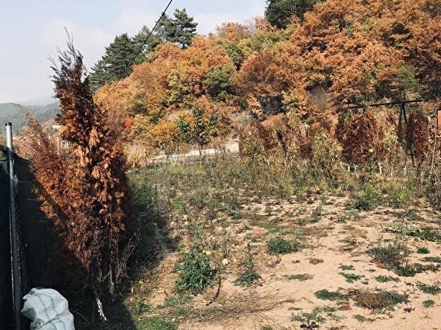 BURSA KELES YOLU ÜZERİNDE SEFERIŞIKLAR KÖYÜNDE SATILIK TARLA - Görsel 13