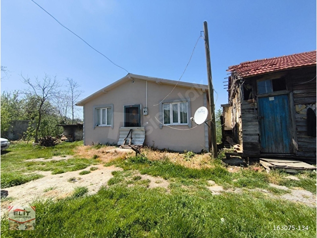 KOGUKPELİT KÖYÜNDE İÇİNDE 2 TANE EV OLAN 6.837m2 FINDIK BAHÇESİ - Görsel 4
