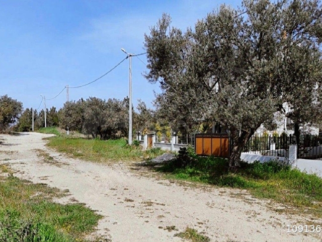 ASS GAYRİMENKULDEN GEYİKLİ DALYAN KÖYÜNDE SATILIK 433 METRE İMARLI ARSA FİYAT DÜŞTÜ