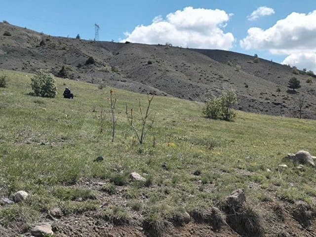Yücellerden Çankırı Şabanözü’nde Şabanözü göleti kenarında satılık tarla - Görsel 10