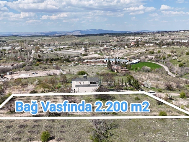 SERTOĞLU EMLAKTAN UÇHİSARDA SATILIK 2.200 m2 BAĞ - Görsel 9
