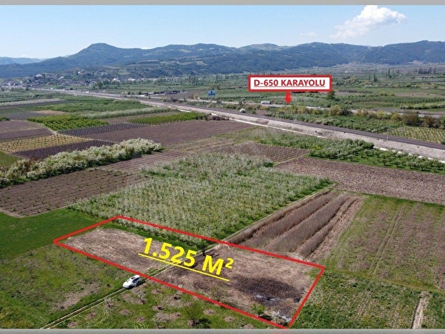 SAKARYA PAMUKOVA SATILIK EMSALSİZ RESMİ YOLU 1.525M2  KÖYE D-650 KARA YOLUNA ÇOK YAKIN - Görsel 17